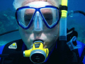   diving fool  